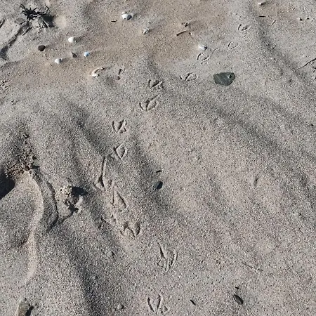 La Lendeline Πανσιόν 3*