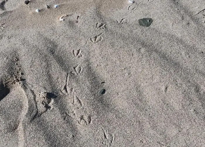 La Lendeline Pensjonat 3*